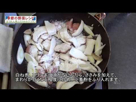 【季節の野菜レシピ】ほうれん草とささみのグラタン