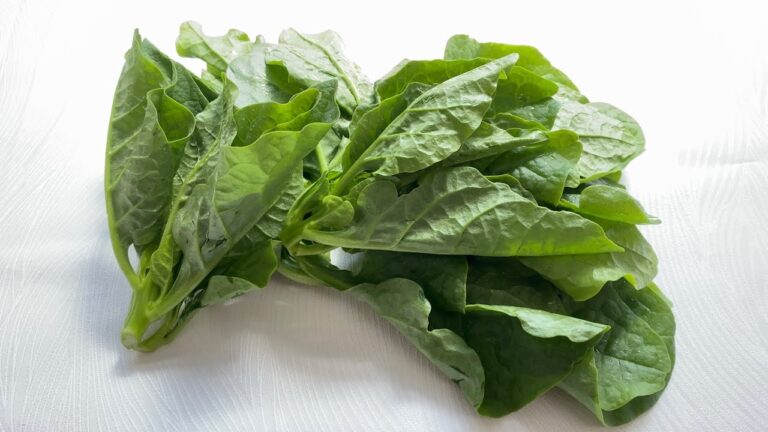 ツルムラサキ〈野菜の食べ方＆調理方法〉by食育マルシェおうち便