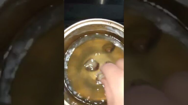 【蛤のお吸い物】めでたミツバにしました🎵 【ひなまつり】#shorts