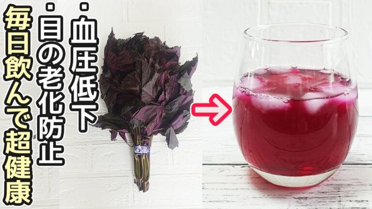 爽やか「赤紫蘇ジュース」夏バテ防止におすすめ！赤紫蘇寒天の作り方も紹介‼赤紫蘇シロップ・赤紫蘇ジュース酢・赤紫蘇ジュースアレンジ・赤紫蘇効能・赤じそハイボール