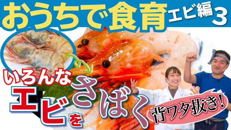 【いよいよ解剖！】おうちで食育『エビ編③』いろんなエビをさばいてみよう！