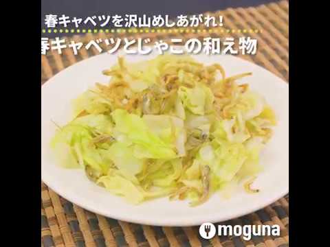 春キャベツを沢山めしあがれ！ 春キャベツとじゃこの和え物 ｜ moguna[モグナ]