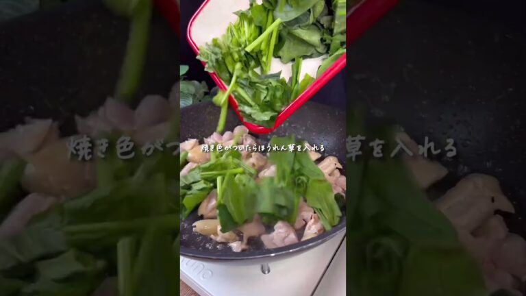 鶏肉とほうれん草のグラタン