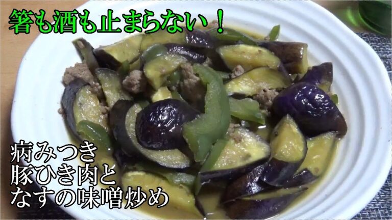 箸も酒も止まらない！病みつき豚ひき肉となすの味噌炒め