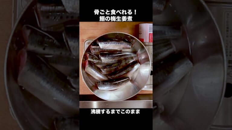 【一番おいしい鰯のレシピ】梅と生姜でさっぱり煮 #Shorts