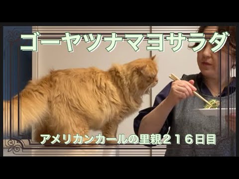 ゴーヤツナマヨサラダ