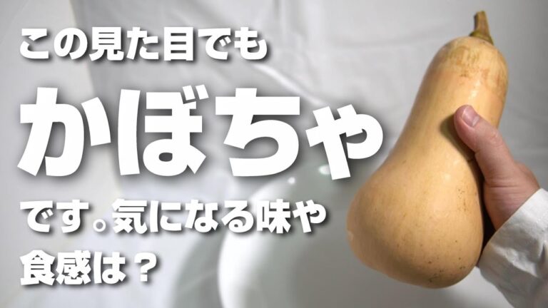 バターナッツかぼちゃを食べてみた！味や食感、普通のかぼちゃとの違いは？ポタージュは本当にうまいの？