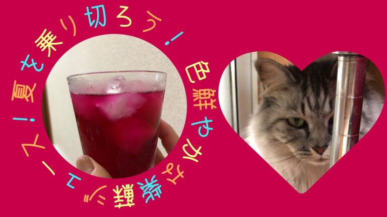 夏を乗り切ろう！　赤紫蘇ジュース！