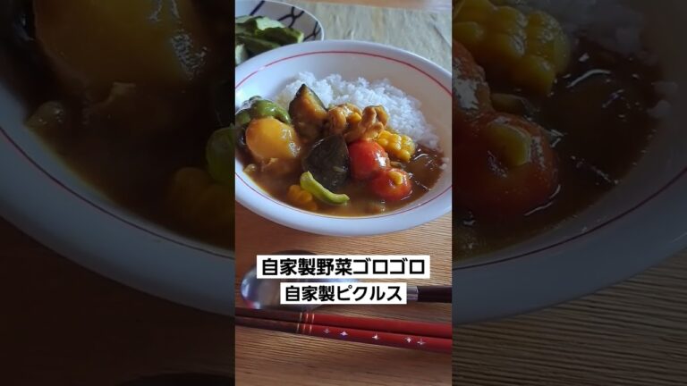 自家製野菜カレー#ジャガイモ#玉ねぎ#トマト#茄子#ピーマン#トウモロコシ#人参#甘