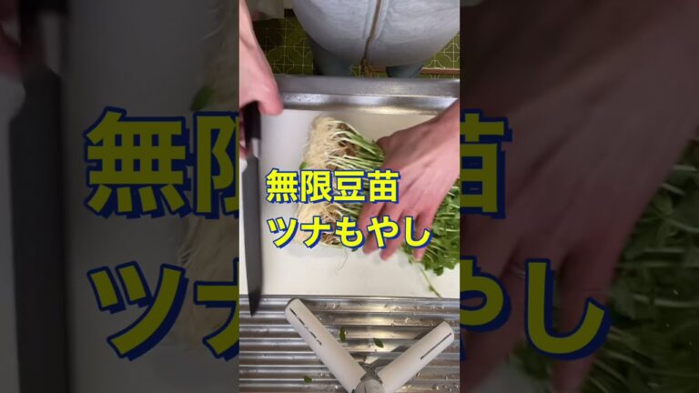 無限に食べれる😍ヘルシー【無限豆苗ツナもやし】#Shorts #ひめりんご