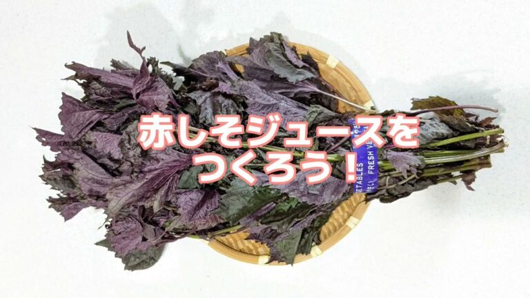 今が旬！簡単【赤紫蘇ジュース】#shorts
