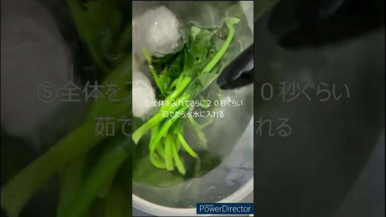 【暇な料理人】これが出来れば副菜に困らない！？『ほうれん草のごま和え』#shorts #暇な料理人の週末料理 #ダイエットレシピ #ヘルシーレシピ #ほうれん草  #ごま #和え物 #和食 #副菜