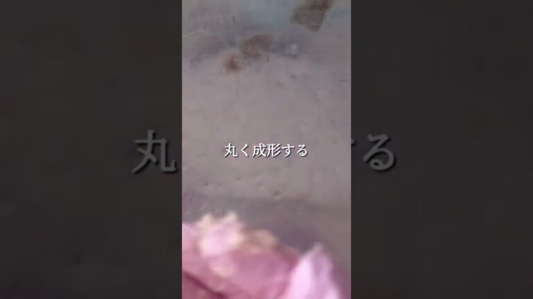 【ふわふわ新食感】サーモンバーグ　#サーモン　#おうちごはん #おうちカフェ