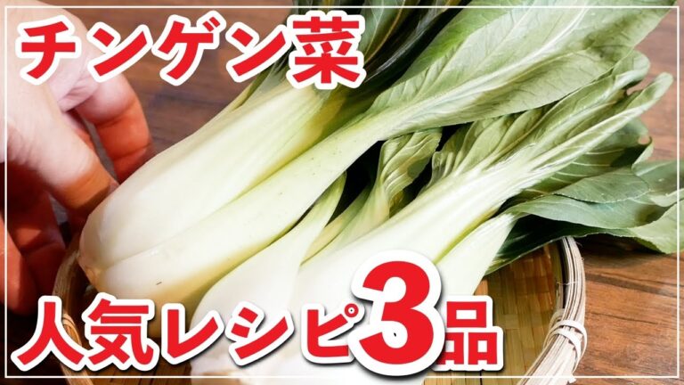 チンゲン菜を使ったレシピ３品＋冷凍保存方法【人気】切り方　＃ASMR