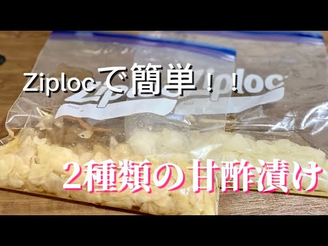 新生姜／大根／簡単2種類の甘酢漬け／レシピ