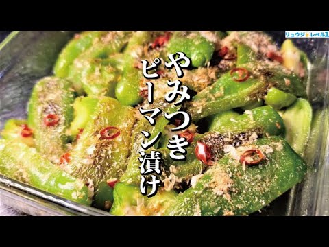 正直、ピーマンがいくらあっても足りない。焦がして漬けるヤバい漬け。【やみつきピーマン漬け】