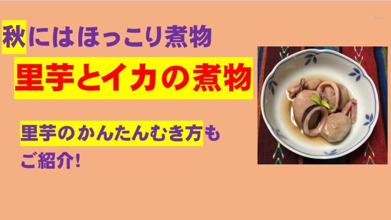 かんたん Cooking 115 秋のほっこり煮物！里芋とイカの煮物　里芋（小芋）の簡単むき方ご紹介つきです