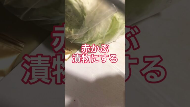 浅漬け　赤かぶ　切って塩と酢にまぶして冷蔵するだけ　ゆずがないからカボスで代用 #shorts