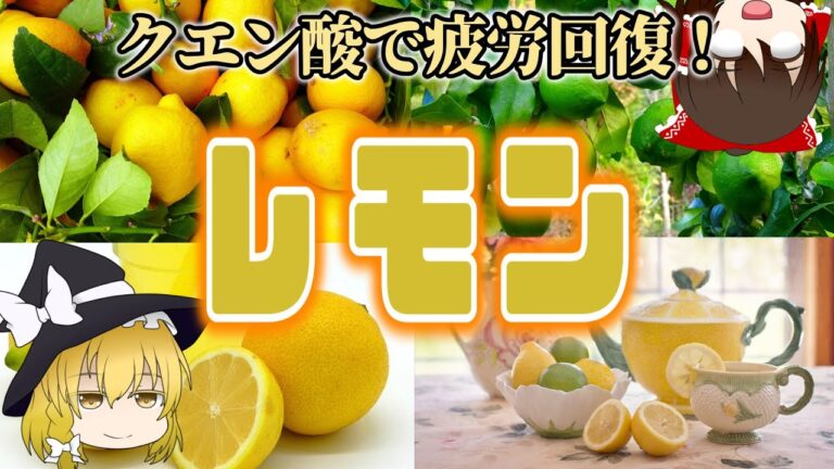 【ゆっくり解説】酸っぱくて爽快！レモンの栄養について解説！