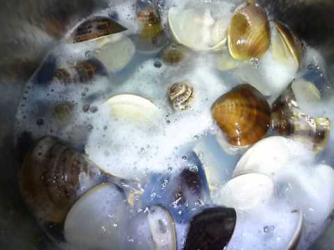 蛤の潮汁を作る様子というか蛤が口を開く様子を撮ってみたのよーーーーー！