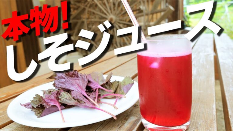 【体に優しい】プロ直伝！簡単＆手作りしそジュースの作り方【１年保存可】