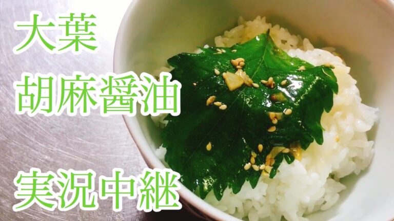 大葉　ゴマ醤油漬け　レシピ　実況中継