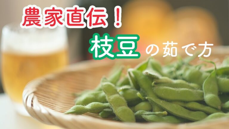 【永久保存版２】枝豆大国の農家が教える枝豆の茹で方