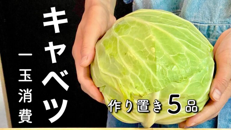 【キャベツ消費】まるごと１玉使い切り作り置きレシピ５選【常備菜】