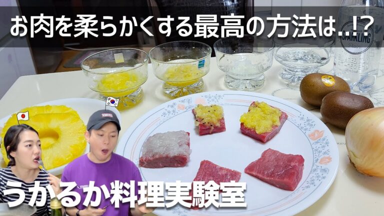かたい肉を柔らかくする方法を全部集めてみました【日韓夫婦/日韓カップル】