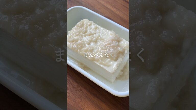 【腸活サラダ】塩麹豆腐のカプレーゼ風　#発酵食品 #レシピ
