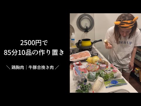【2500円】ズボラ女子が85分で10品の作り置き