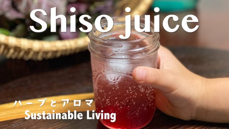 [赤じそジュース]りんご酢を入れてすっきりした味わい/夏にぴったり爽やか