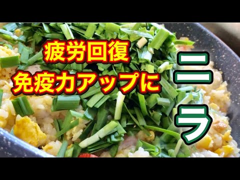 夏の疲労回復と免疫力アップにおすすめ！【ニラ】簡単スタミナレシピ２品