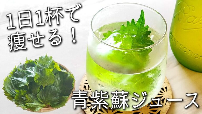 【青 しそ ジュース】材料３つ で 簡単！お酢と大葉でダイエット効果がすごい！ 毎日1杯の健康飲料 大葉ジュース 夏バテ予防に！ 残ったシソの活用法 効能 紫蘇 シロップ 青 紫蘇 ジュース