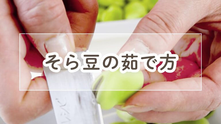 【切り込みを入れて】そら豆の茹で方【料理の基本】