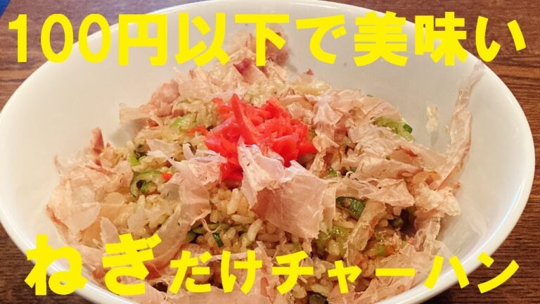 NEW 【ねぎチャーハン】作り方★給料日前の節約１００円以下レシピ！具材はネギだけ