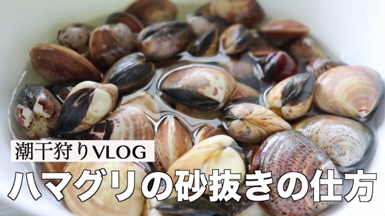 【料理の基本】潮干狩りからハマグリの砂抜き方法をご紹介~~How to remove sand from clams
