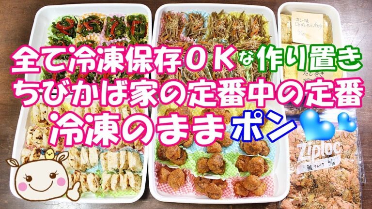 【9品紹介】全部冷凍保存ＯＫ！ ポン♪といれるだけの楽ちんおかず【作り置き】#179