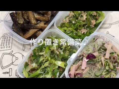 【作り置き常備菜】茄子の胡麻酢炒め・長ネギのおかか炒め・無限ピーマン・春雨サラダ