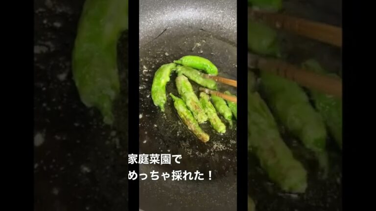 家庭菜園で採れたししとうを米粉つけて揚げてみた。