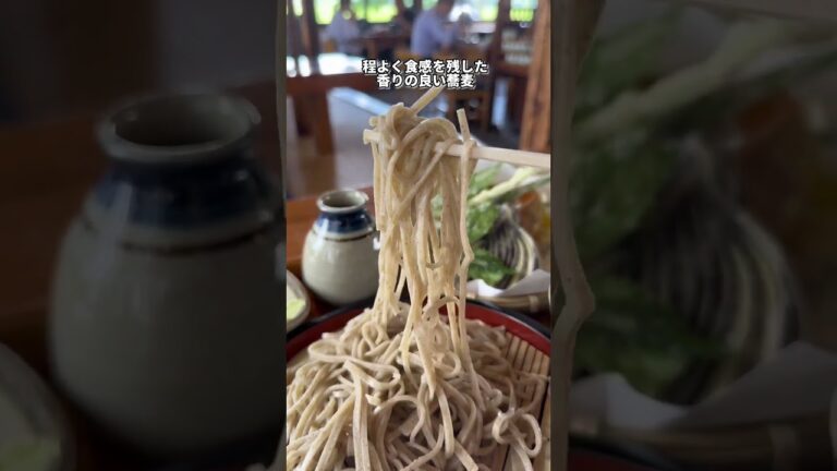 茨城グルメ【茨城トップクラスの絶品蕎麦】常陸太田 そば園佐竹