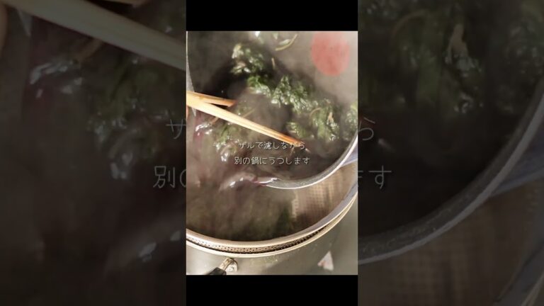 砂糖・酢なし！子どもが好きな「赤紫蘇ジュース」 #shorts