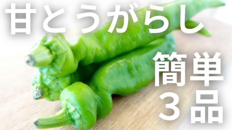 【焼酎やビールに合う！】甘とうがらしを使った簡単レシピ3品