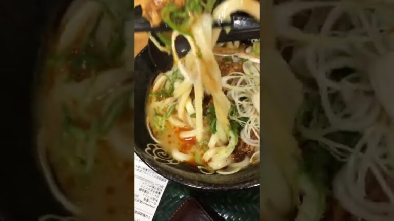 初めてのはなまるうどん、、ピリ辛坦々うどん