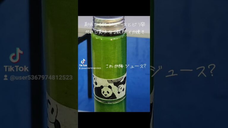 美味なる梅ジュースとピリ辛だけど美味なる鉄板イカ焼き。