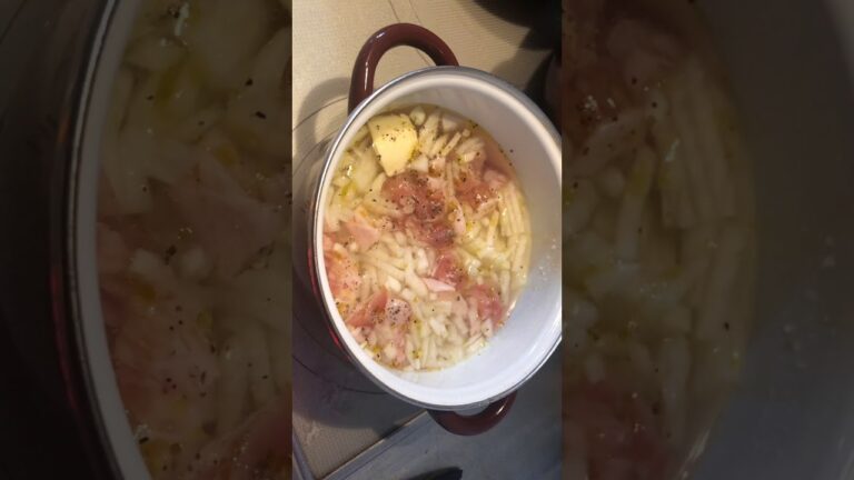 鶏肉とタマネギのコンソメスープ