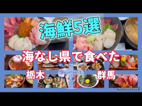 【総集編】海鮮編💚MOが食べたお得で美味しい絶品海鮮のお店をピックアップ🤪❤️ランチでお得に🐟市場の側で海鮮が！？海なし栃木県でいただく絶品海鮮🐟海がなくても魚は旨いんだぞお〜☺️👍