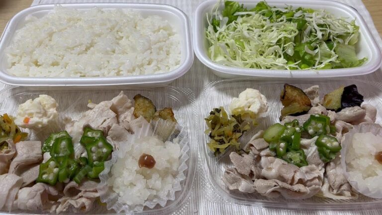 ほっともっと　梅おろし豚しゃぶ弁当＆梅おろし豚しゃぶサラダ