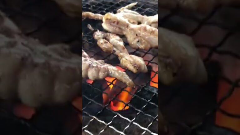 セセリは俺らの証なんよ。 #bbq #七輪 #炭火 #アル中カラカラ #鶏肉 #せせり