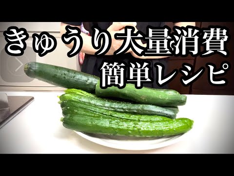 【きゅうり消費】簡単おすすめレシピ4品